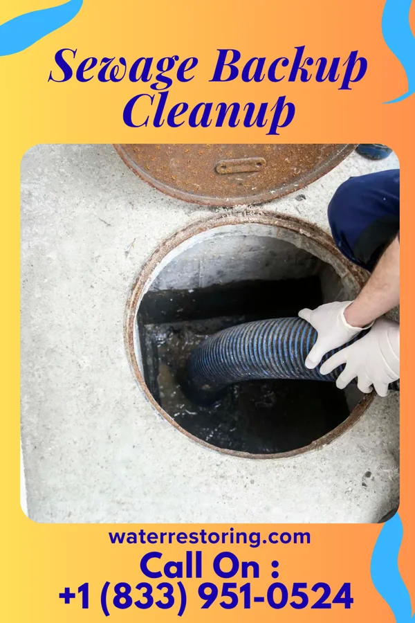 Sewage Backup Cleanup in Innsbrook, MO